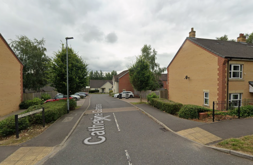 Man charged with murder of woman who died in the street remanded in custody