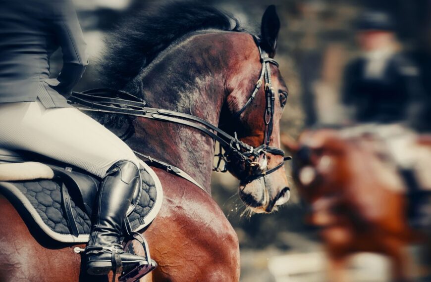 CVC-backed Global Sport Group adds to stable with $300m Equine Network deal