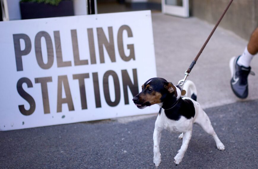 Local elections 2026: Over a third of councils offered a delay have requested one – is yours on the list?
