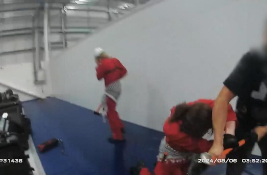 Six Palestine Action activists cleared of aggravated burglary at Israel-linked defence firm