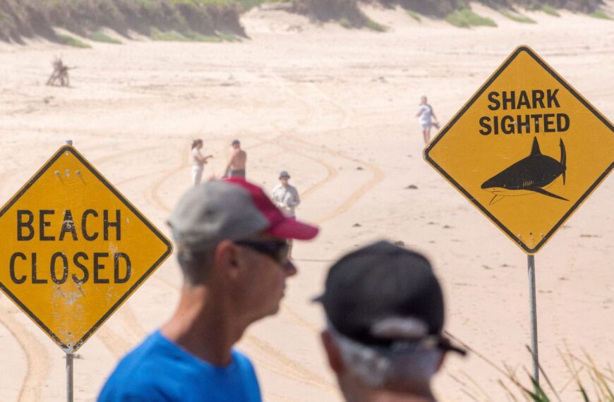 Boy, 12, and man critically hurt in Sydney after three shark attacks in two days