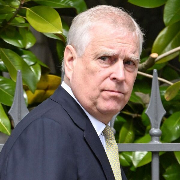 Call for ‘treason’ probe into Andrew’s Epstein links – as searches at ex-duke’s former home continue
