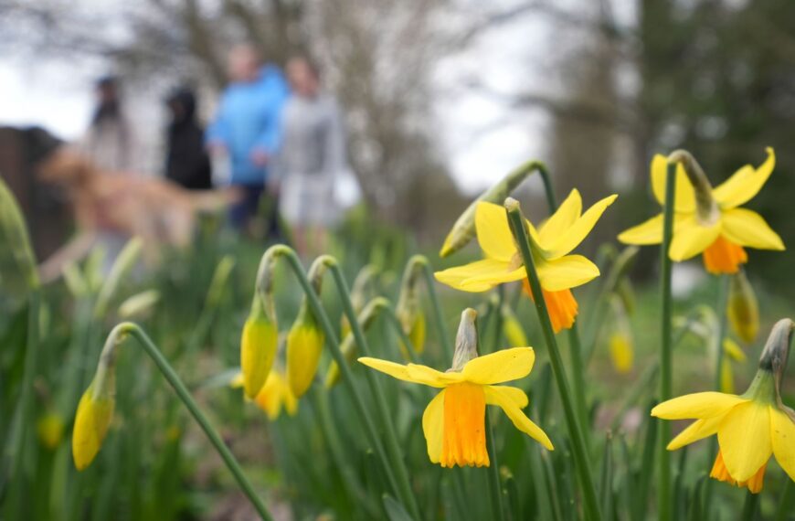 End to wintry weather with temperatures up to 16C forecast this weekend