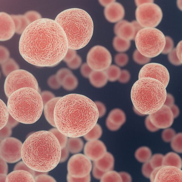 The UK’s new cancer strategy is bold and ambitious – it can’t afford to be anything else