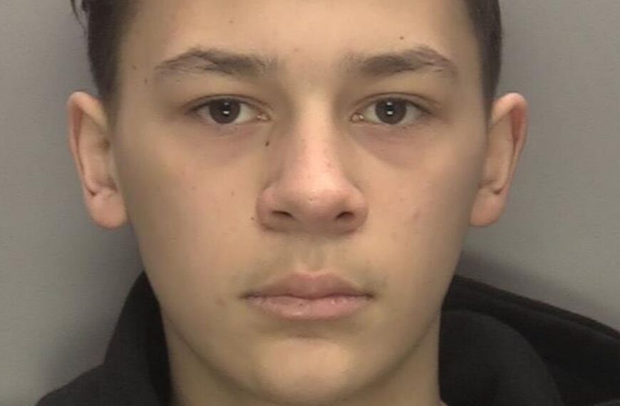 Teenager sentenced for murder of 12-year-old Leo Ross has been named