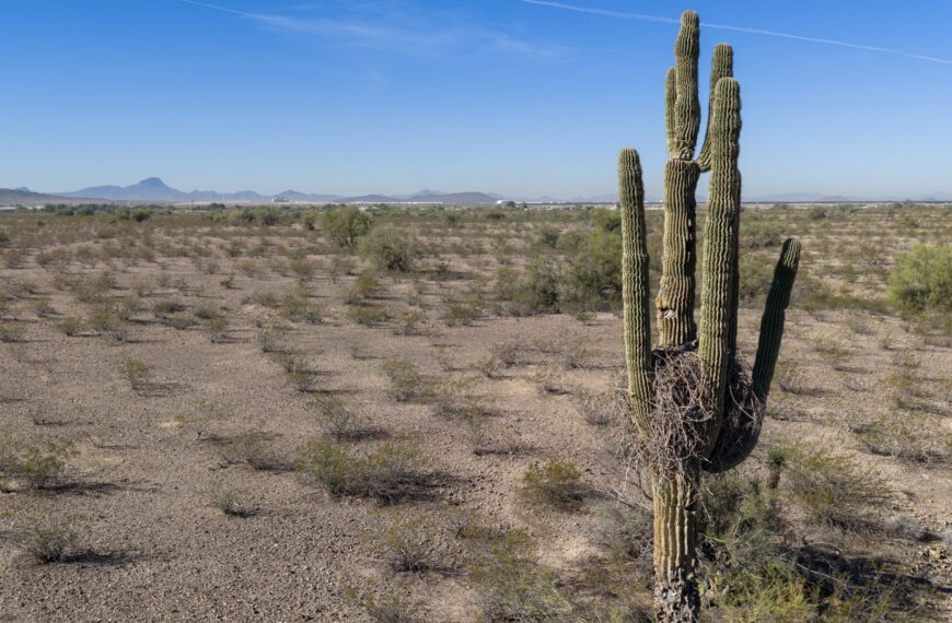 US suffers hottest March day ever recorded as heat dome drives up temperatures