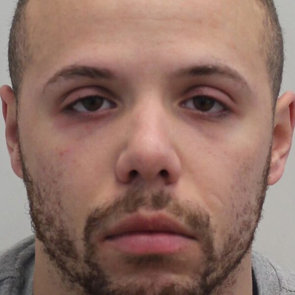 Van driver jailed after killing London student