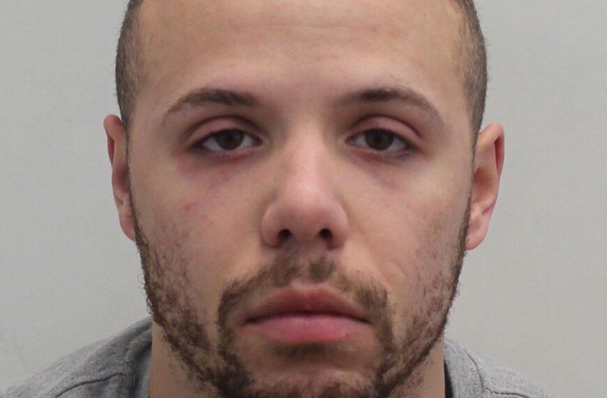 Van driver jailed after killing London student