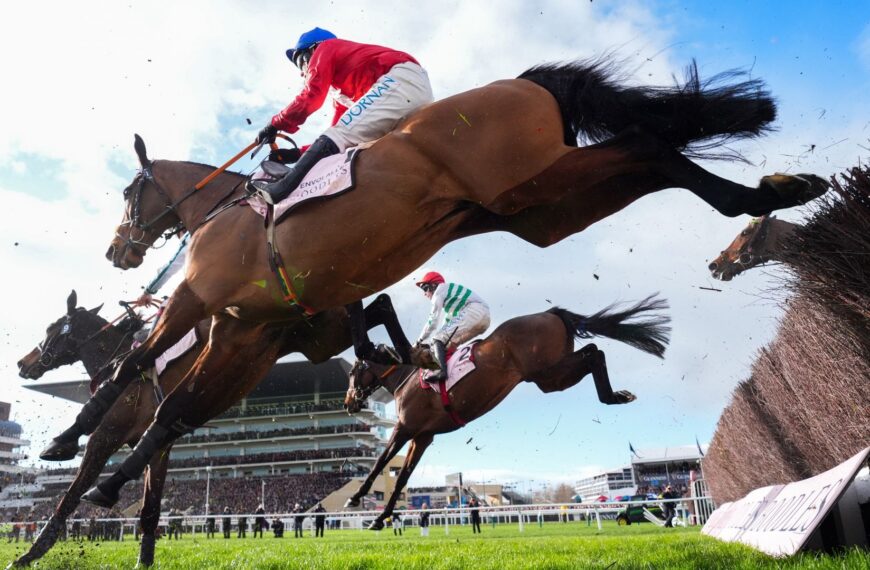 Third horse dies at Cheltenham, in his last race