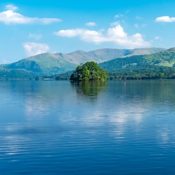 Campaigners say Lake Windermere needs real-time pollution warnings after two swimmers were taken to hospital