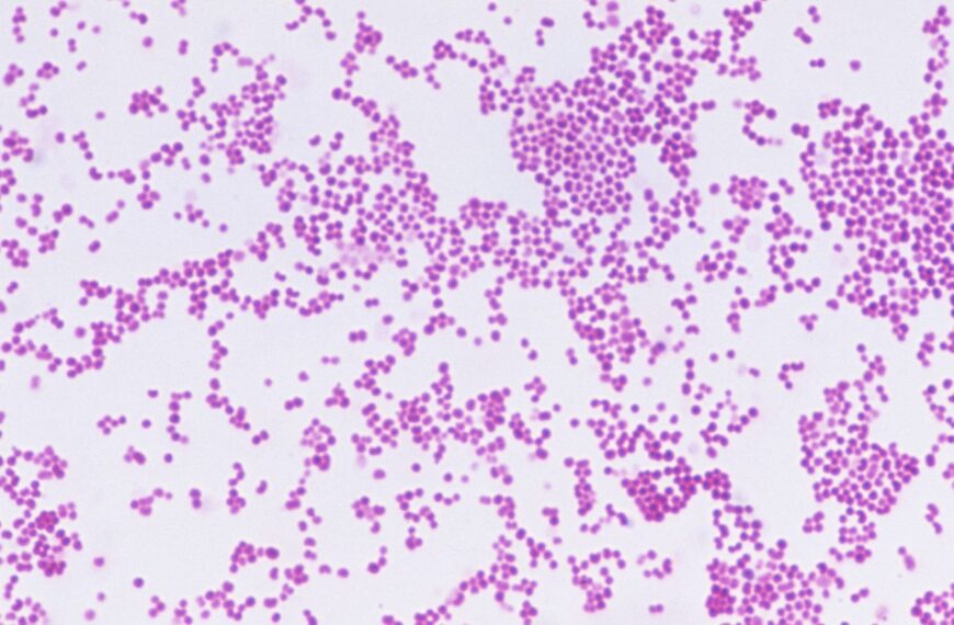 Kent meningitis outbreak a cruel reminder young people are most at risk