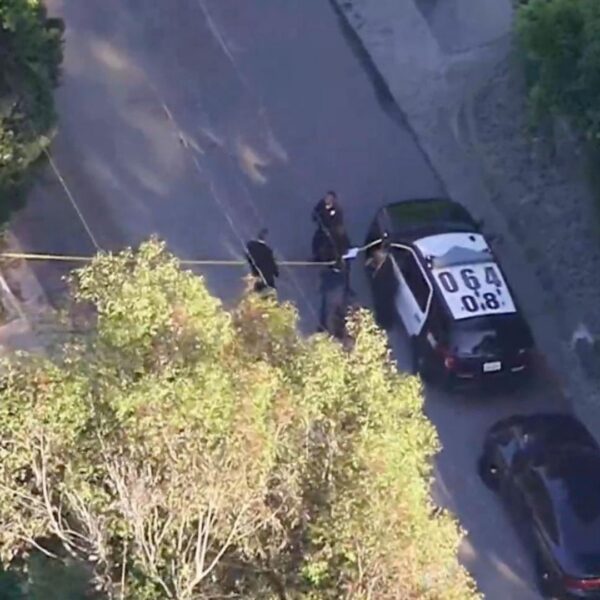 Woman armed with AR-15 rifle fires gunshots into Rihanna’s California home