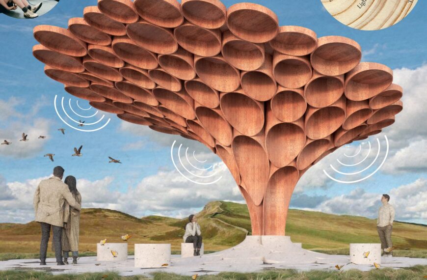 What future do you want for Sycamore Gap tree? Vote now on what’s next for the felled landmark