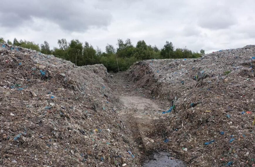 Illegal waste will remain an ‘out of control plague’ without greater co-operation, committee warns